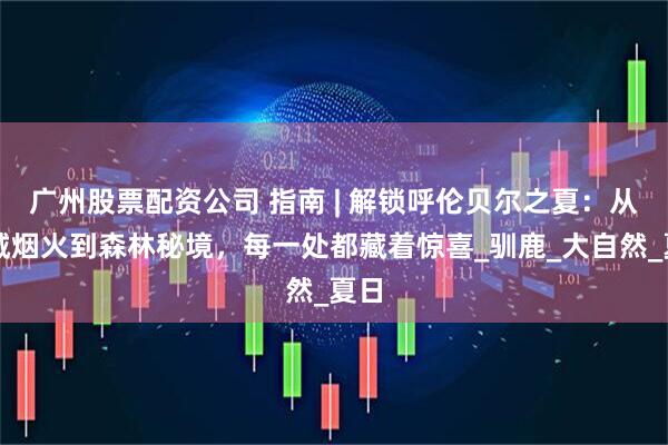 广州股票配资公司 指南 | 解锁呼伦贝尔之夏：从古城烟火到森林秘境，每一处都藏着惊喜_驯鹿_大自然_夏日